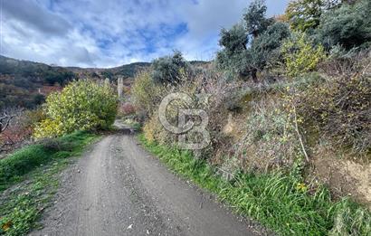 BAYINDIR KIZILOBA YAYLASINDA DOĞAYLA İÇ İÇE SATILIK ARAZİ