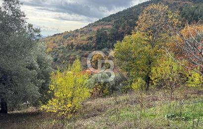 BAYINDIR KIZILOBA YAYLASINDA DOĞAYLA İÇ İÇE SATILIK ARAZİ
