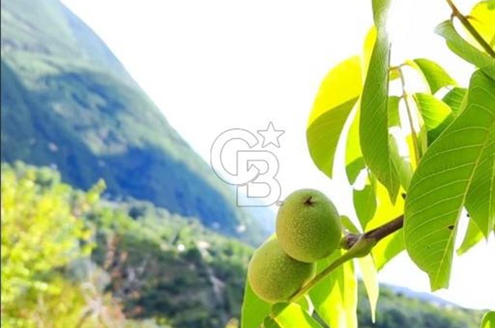 BAYINDIR KIZILOBA YAYLASINDA DOĞAYLA İÇ İÇE SATILIK ARAZİ