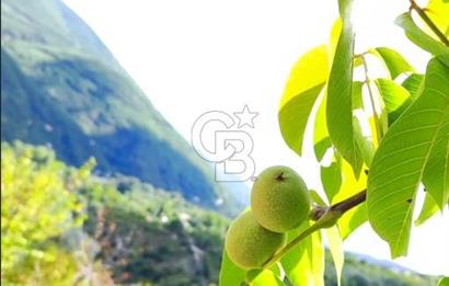 BAYINDIR KIZILOBA YAYLASINDA DOĞAYLA İÇ İÇE SATILIK ARAZİ