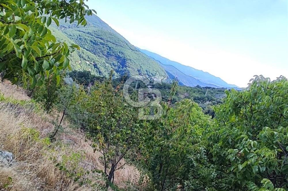 BAYINDIR KIZILOBA YAYLASINDA DOĞAYLA İÇ İÇE SATILIK ARAZİ