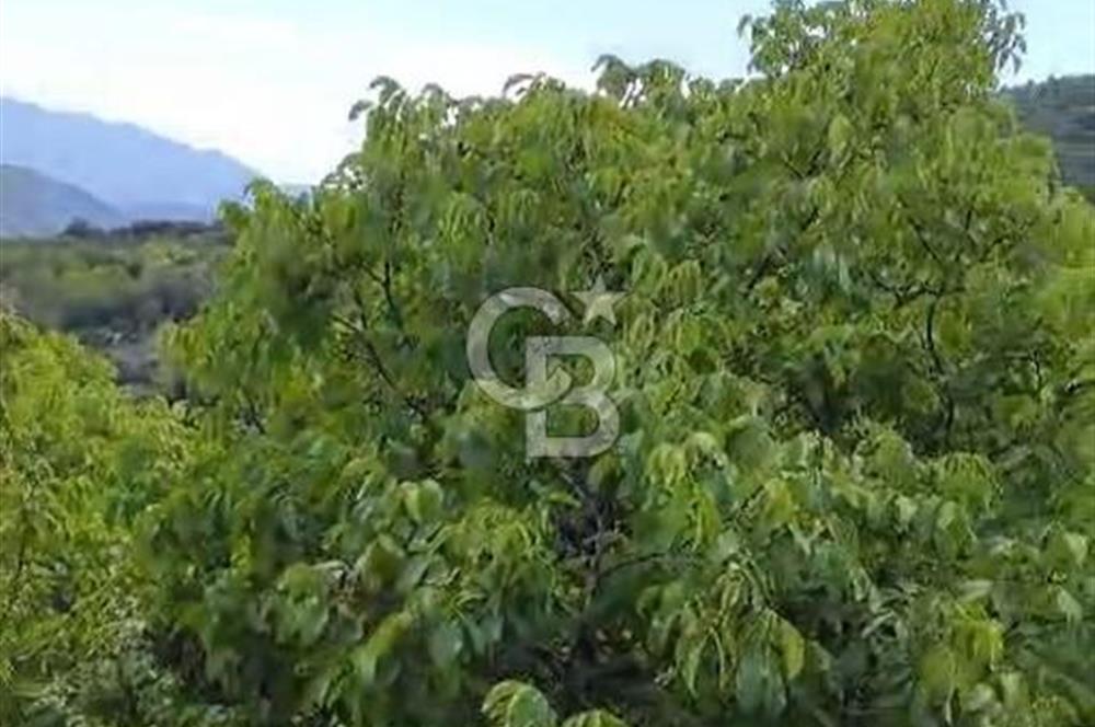 BAYINDIR KIZILOBA YAYLASINDA DOĞAYLA İÇ İÇE SATILIK ARAZİ