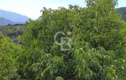 BAYINDIR KIZILOBA YAYLASINDA DOĞAYLA İÇ İÇE SATILIK ARAZİ