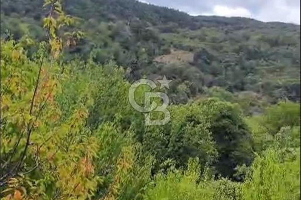 BAYINDIR KIZILOBA YAYLASINDA DOĞAYLA İÇ İÇE SATILIK ARAZİ