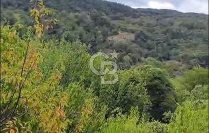 BAYINDIR KIZILOBA YAYLASINDA DOĞAYLA İÇ İÇE SATILIK ARAZİ