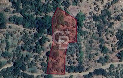 BAYINDIR KIZILOBA YAYLASINDA DOĞAYLA İÇ İÇE SATILIK ARAZİ