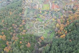 BAYINDIR SARIYURT’TA DOĞAYLA İÇ İÇE SATILIK ARAZİ - 9 - 320982