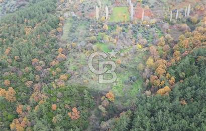 BAYINDIR SARIYURT’TA DOĞAYLA İÇ İÇE SATILIK ARAZİ