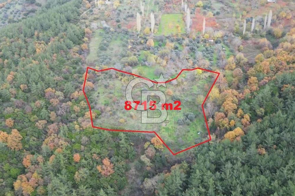 BAYINDIR SARIYURT’TA DOĞAYLA İÇ İÇE SATILIK ARAZİ