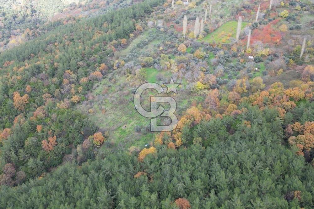 BAYINDIR SARIYURT’TA DOĞAYLA İÇ İÇE SATILIK ARAZİ