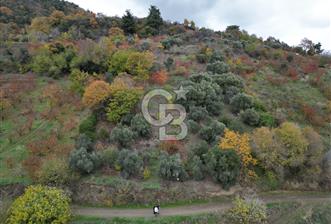 BAYINDIR KIZILOBA YAYLASINDA DOĞAYLA İÇ İÇE SATILIK ARAZİ - 7 - 320984