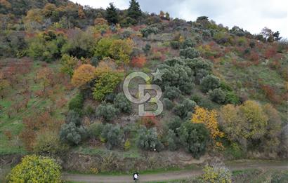 BAYINDIR KIZILOBA YAYLASINDA DOĞAYLA İÇ İÇE SATILIK ARAZİ