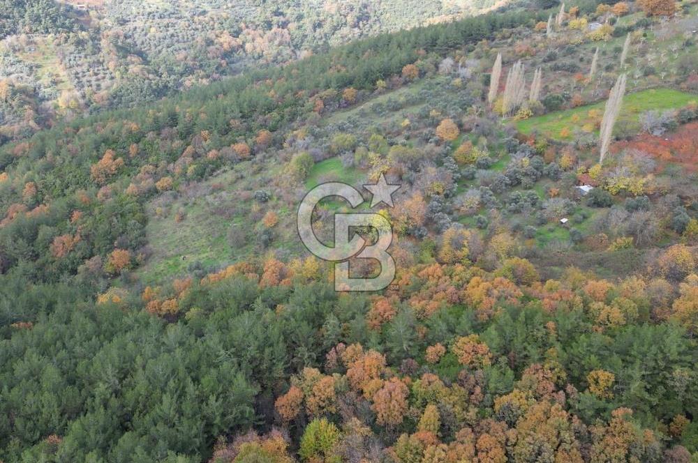 BAYINDIR SARIYURT’TA DOĞAYLA İÇ İÇE SATILIK ARAZİ