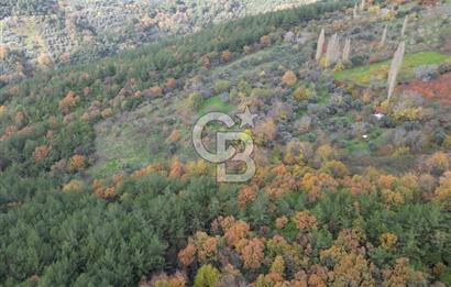 BAYINDIR SARIYURT’TA DOĞAYLA İÇ İÇE SATILIK ARAZİ