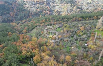 BAYINDIR SARIYURT’TA DOĞAYLA İÇ İÇE SATILIK ARAZİ