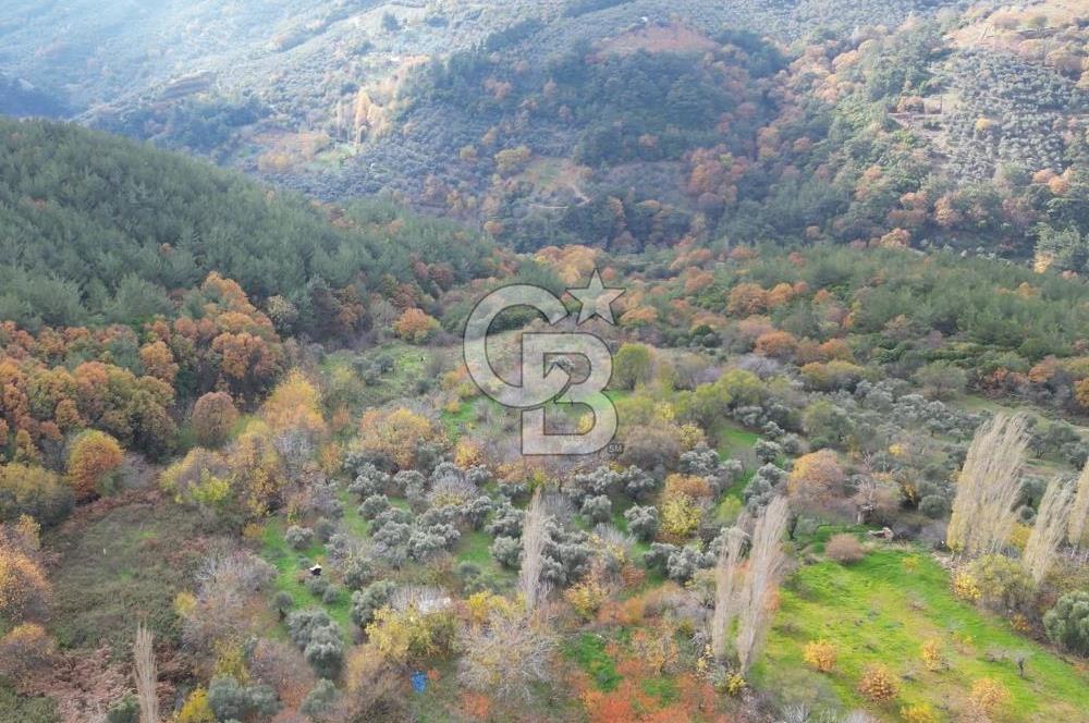 BAYINDIR SARIYURT’TA DOĞAYLA İÇ İÇE SATILIK ARAZİ