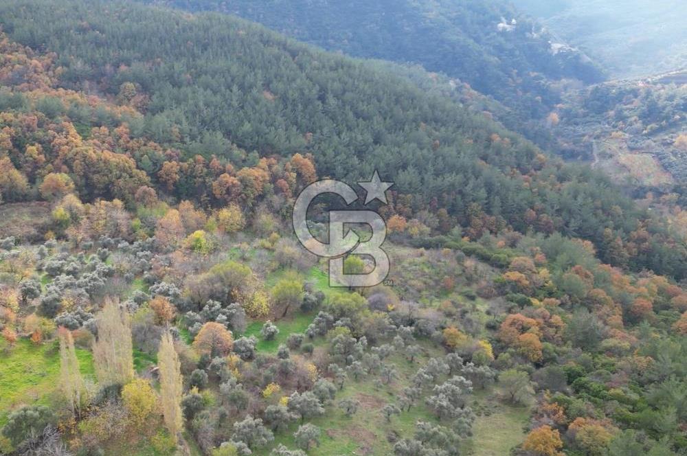 BAYINDIR SARIYURT’TA DOĞAYLA İÇ İÇE SATILIK ARAZİ