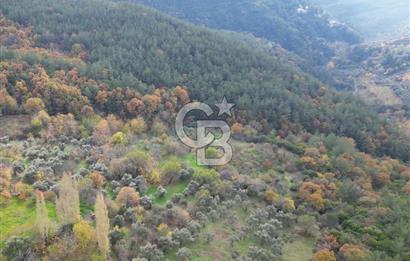 BAYINDIR SARIYURT’TA DOĞAYLA İÇ İÇE SATILIK ARAZİ