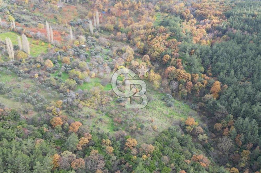 BAYINDIR SARIYURT’TA DOĞAYLA İÇ İÇE SATILIK ARAZİ