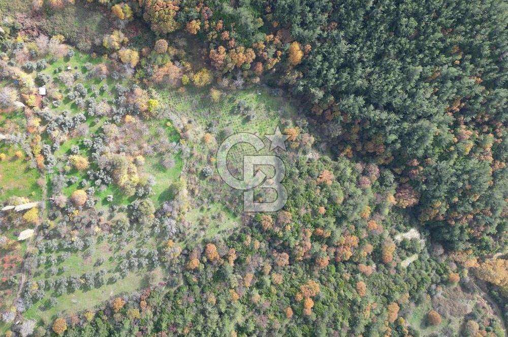 BAYINDIR SARIYURT’TA DOĞAYLA İÇ İÇE SATILIK ARAZİ