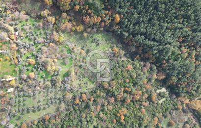 BAYINDIR SARIYURT’TA DOĞAYLA İÇ İÇE SATILIK ARAZİ