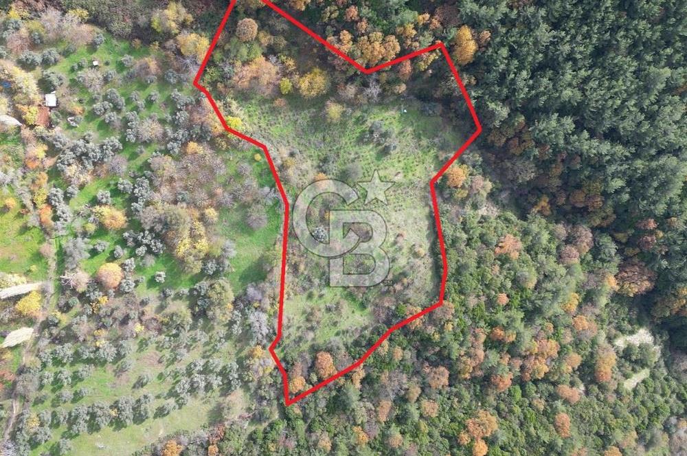 BAYINDIR SARIYURT’TA DOĞAYLA İÇ İÇE SATILIK ARAZİ