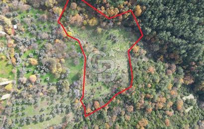 BAYINDIR SARIYURT’TA DOĞAYLA İÇ İÇE SATILIK ARAZİ