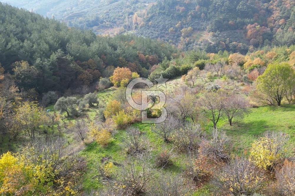 BAYINDIR SARIYURT’TA DOĞAYLA İÇ İÇE SATILIK ARAZİ