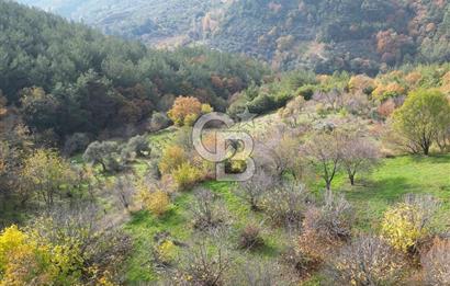 BAYINDIR SARIYURT’TA DOĞAYLA İÇ İÇE SATILIK ARAZİ