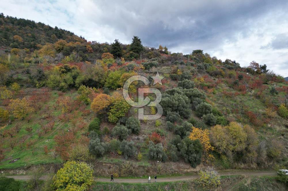 BAYINDIR KIZILOBA YAYLASINDA DOĞAYLA İÇ İÇE SATILIK ARAZİ