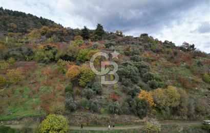 BAYINDIR KIZILOBA YAYLASINDA DOĞAYLA İÇ İÇE SATILIK ARAZİ