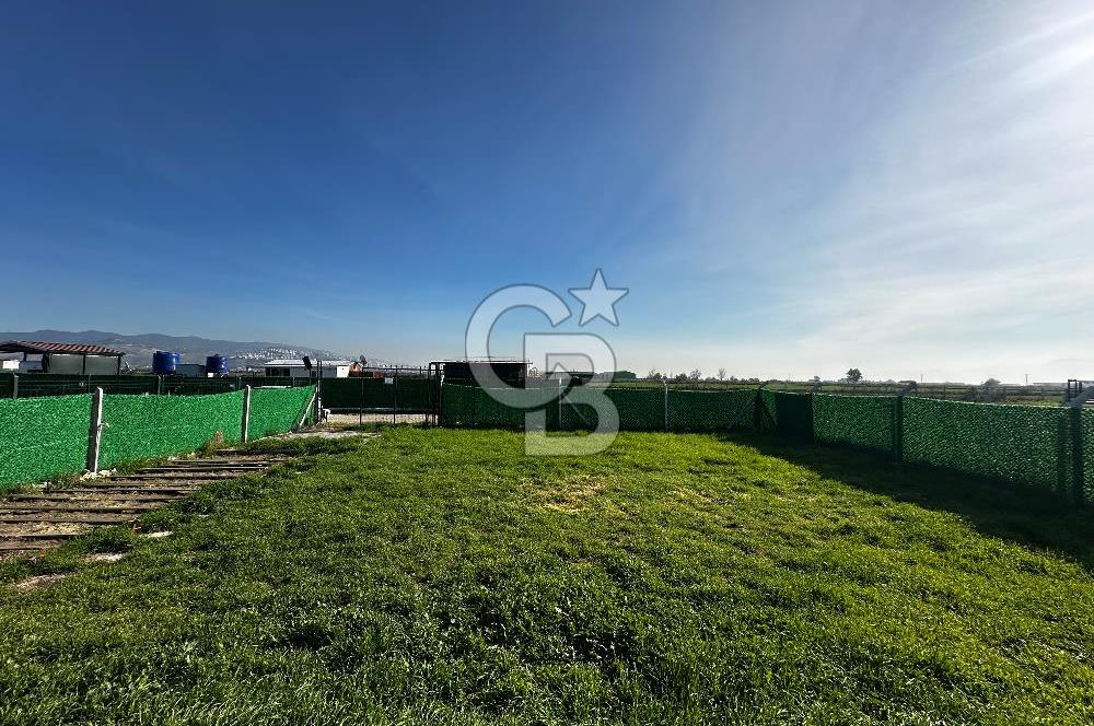 Sasalı Kaklıçta Satılık 445m2 Tarla 