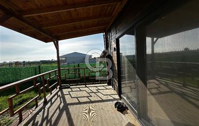 Sasalı Kaklıçta Satılık 445m2 Tarla 