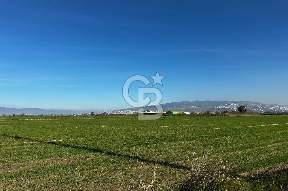 Sasalı Kaklıçta Satılık 445m2 Tarla 