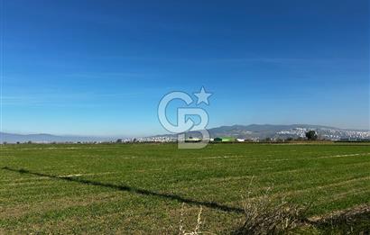 Sasalı Kaklıçta Satılık 445m2 Tarla 