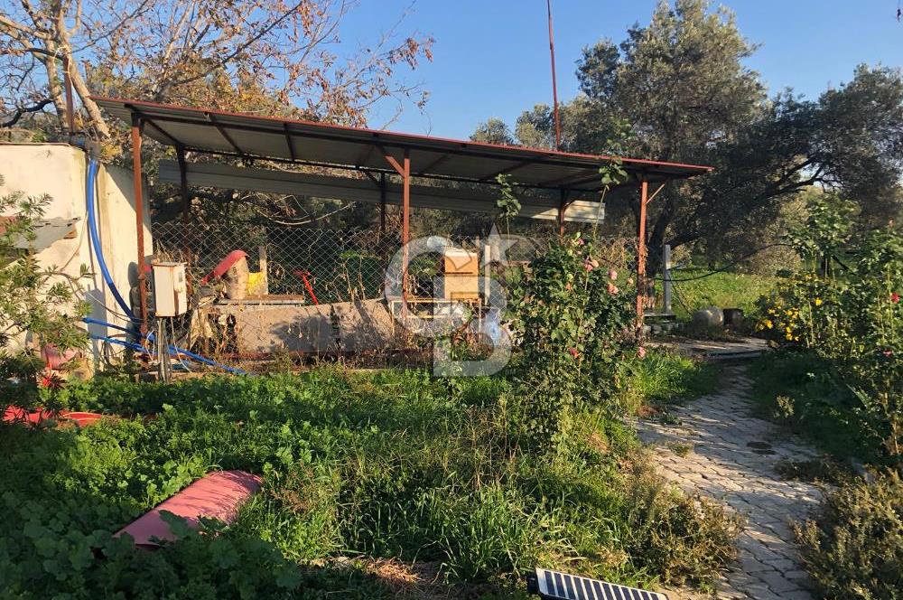 YAKAPINAR DA SATILIK 3094 M2 YATIRIMLIK TARLA