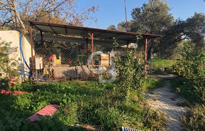 YAKAPINAR DA SATILIK 3094 M2 YATIRIMLIK TARLA