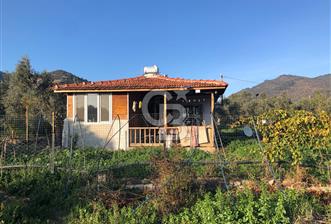 YAKAPINAR DA SATILIK 3094 M2 YATIRIMLIK TARLA - 4 - 320976