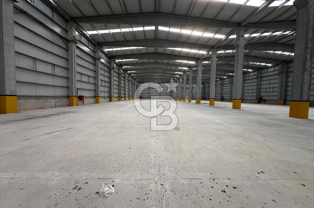KEMALPAŞA BAĞYURDU HALİLBEYLİ OSB'DE 10.000 m2 KİRALIK FABRİKA