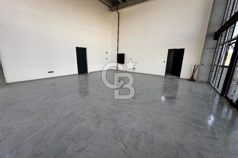 KEMALPAŞA BAĞYURDU HALİLBEYLİ OSB'DE 10.000 m2 KİRALIK FABRİKA