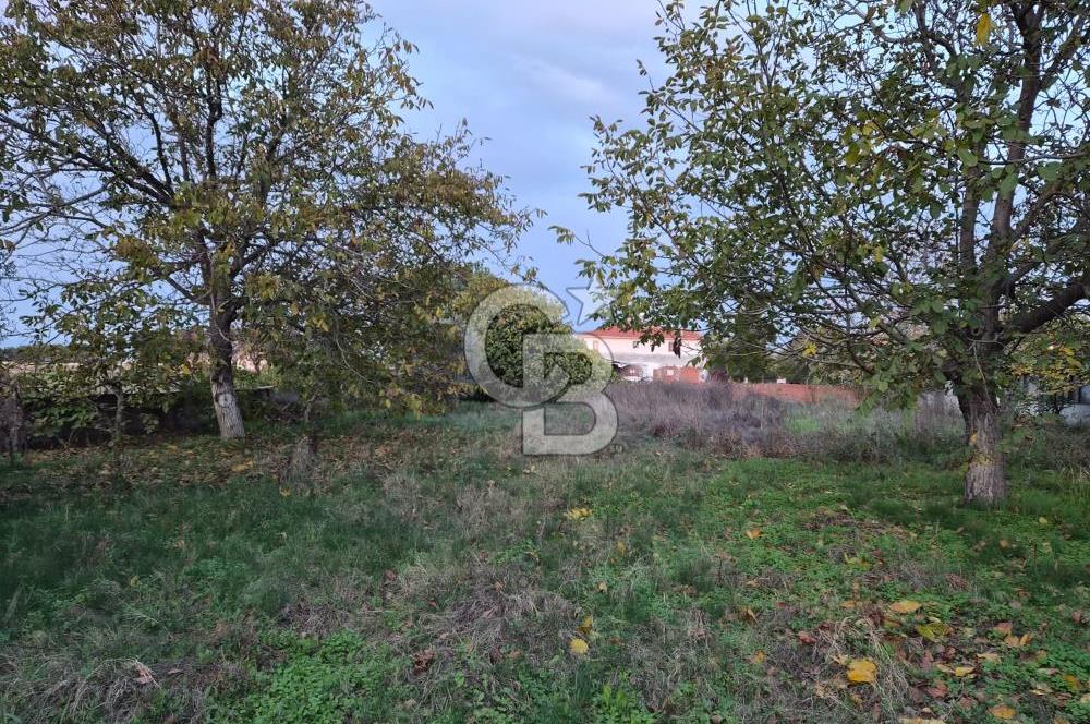 Biga Güvemalan SatılıkEv