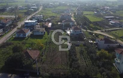 Biga Güvemalan Satılık Arsa 