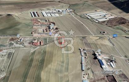 ANKARA POLATLI SATILIK ARSA SAKARYA YOL CEPHELİ