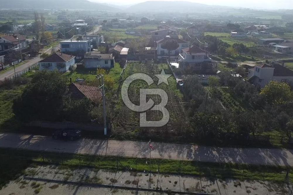 Biga Güvemalan Satılık Arsa 