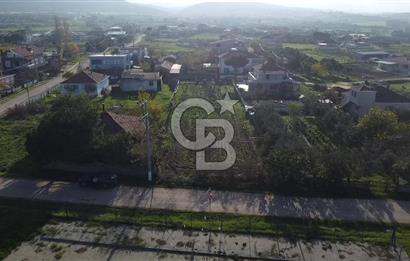 Biga Güvemalan Satılık Arsa 