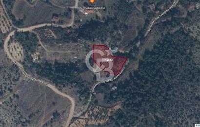 CB'DAN BİLECİK MERKEZ,DERESAKARI, 2.246,84 M2 , MÜSTAKİL ARAZİ