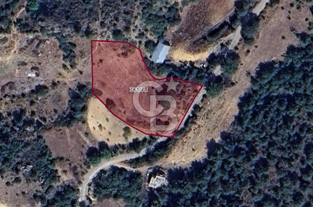 CB'DAN BİLECİK MERKEZ,DERESAKARI, 2.246,84 M2 , MÜSTAKİL ARAZİ