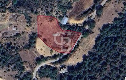 CB'DAN BİLECİK MERKEZ,DERESAKARI, 2.246,84 M2 , MÜSTAKİL ARAZİ