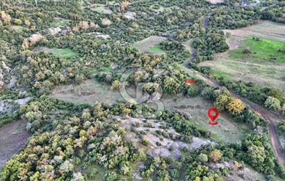 Hobi ve Tarım İçin İdeal! 15.211 m² 2 Adet Satılık Arazi