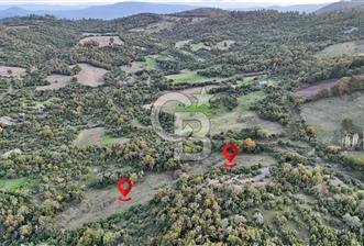 Hobi ve Tarım İçin İdeal! 15.211 m² 2 Adet Satılık Arazi - 10 - 321232
